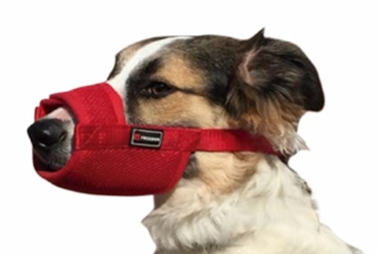 Picture of FREEDOG MUZZLE NYLON SOFT